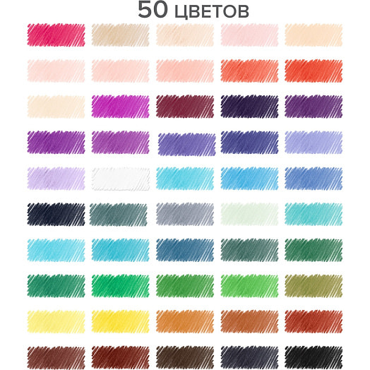 Карандаши цветные Brauberg 50цветов арт.181860 Китай
