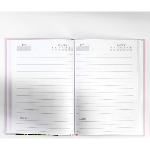 Подарочный набор Самой нежной (ежедн А5 80л, планинг 50л) арт.9878475 Россия