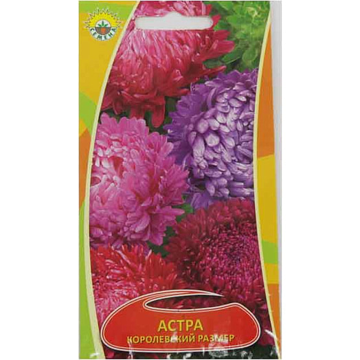 Семена Астра Королевский размер 0,2гр. SGARAVATTI Италия