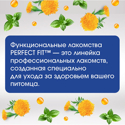 Лакомство для собак Perfect Fit с говядиной и мятой для мелких пород 90г ООО Марс Россия Perfect Fit