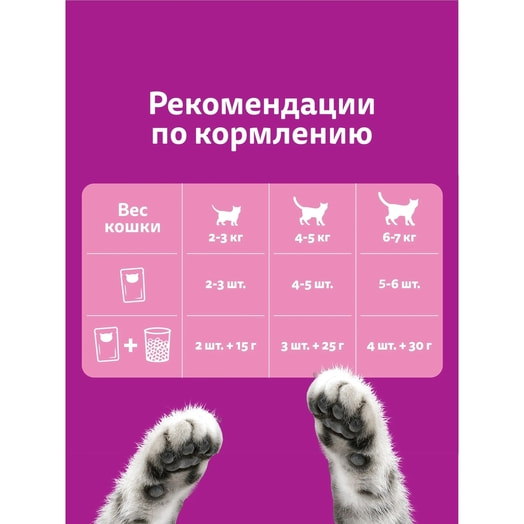 Корм Whiskas Рагу с курицей для кошек старше 7лет 75г ООО Марс Россия Whiskas