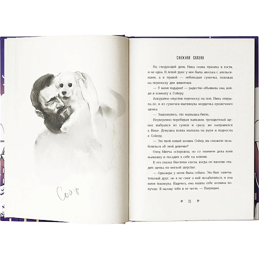 Книга Снежная сказка (вечерняя) ООО Издательство АСТ Россия