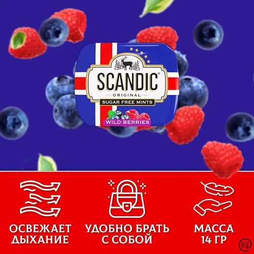 Конфеты SCANDIC без сахара Лесные ягоды 14г ж/б ТД Энергон Рус Россия ТМ Scandic