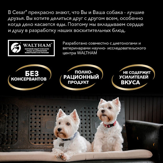 Корм Cesar с уткой в желе для взрослых собак всех пород 85г ООО Марс Россия Cesar