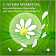 Женские гигиен прокладки Naturella Ultra Camomile Maxi Single 8шт Procter & Gamble Венгрия