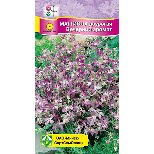 Семена Маттиола двурогая Вечерний аромат satimex Quedlinburg GmbH Германия МинскСортСемОвощ