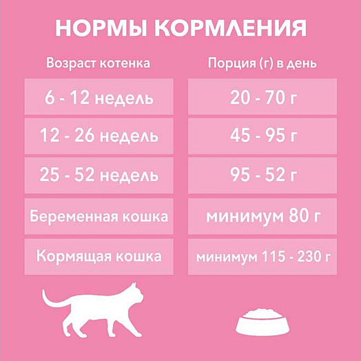 Корм Purina ONE 200г курица, цельные злаки сухой Purina Италия