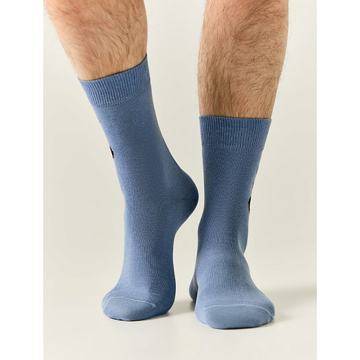 Носки мужские february 23 арт.2146 ОАО Брестский ЧК Беларусь Брестские