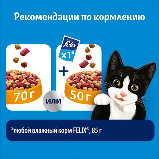 Сухой корм Двойная Вкуснятина 600г птица ООО Нестле Россия Россия