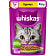 Корм Whiskas Рагу с курицей 75г пауч Марс Россия WHISKAS