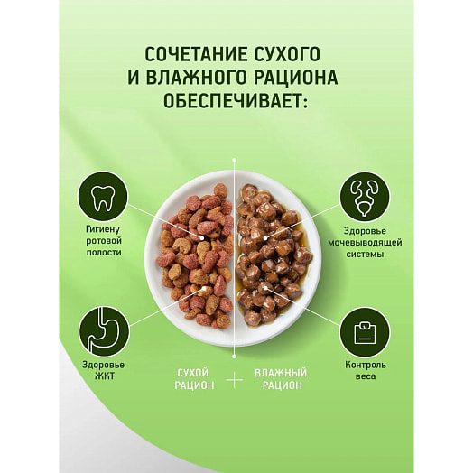 Корм Kitekat Курочка аппетитная для взр кошек 800г ООО Марс Россия Kitekat