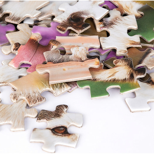 Пазлы 80 Зверята арт.RI8002C ООО Желтый крокодил Беларусь DREAM MAKERS-BOARD GAMES