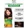 Крем-краска стойкая Color Naturals Creme 4.15 морозный кашт Россия