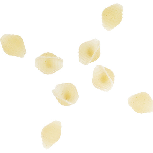 Макаронные изделия Ракушка гр.В,в/сорт 900г ТМ Боримак Беларусь