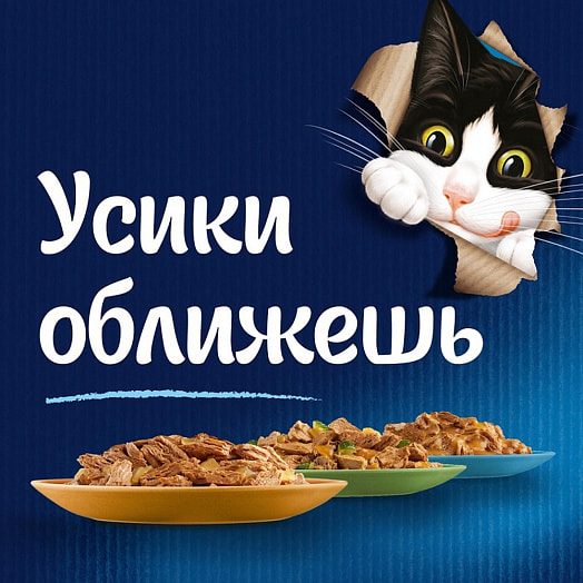 Корм Felix 75г пауч кусочки в желе индейка ООО Нестле Россия Purina