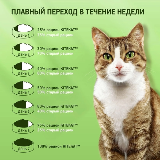 Корм сухой Китекат Мясной Пир 1.3кг для взрослых кошек Марс Россия