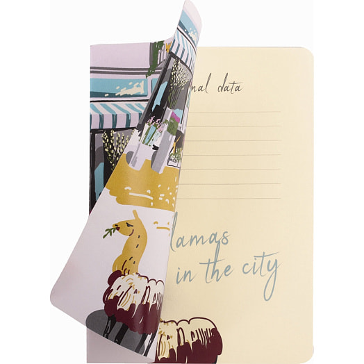 Тетрадь BRAUBERG A5 (147х210мм, 40л, клетка) арт.403776 Китай