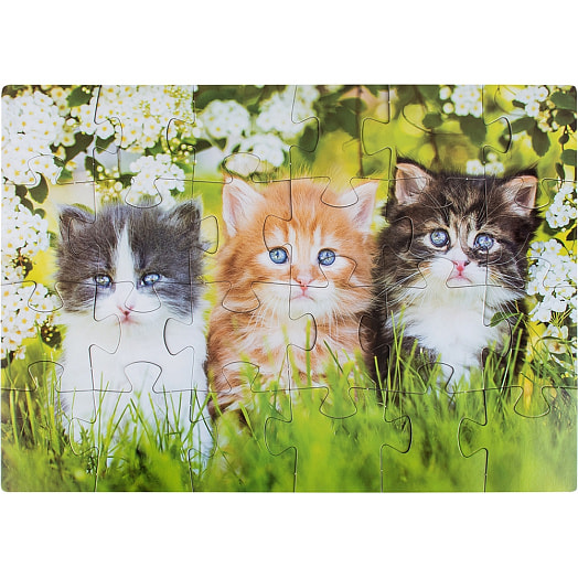 Пазлы 24 MAXI Зверята арт.RI2402C ООО Желтый крокодил Беларусь DREAM MAKERS-BOARD GAMES