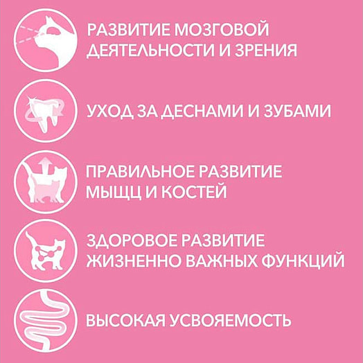 Корм Purina ONE 200г курица, цельные злаки сухой Purina Италия