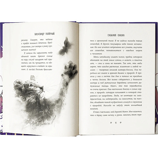 Книга Снежная сказка (вечерняя) ООО Издательство АСТ Россия