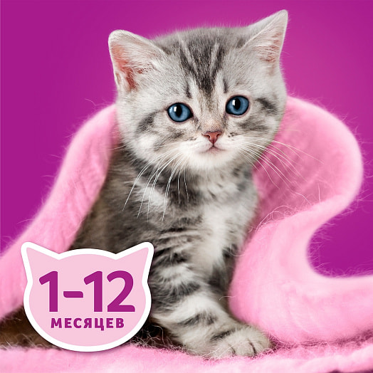 Корм для котят Рагу 75г пауч с курицей Марс Россия WHISKAS