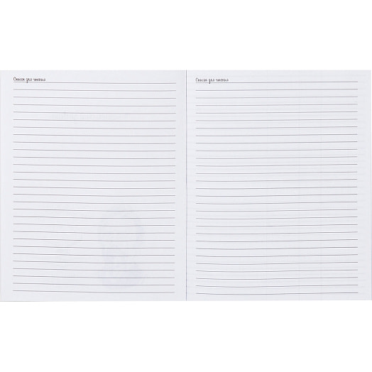 Дневник читательский Пифагор А5,40 листов арт.113447 Россия