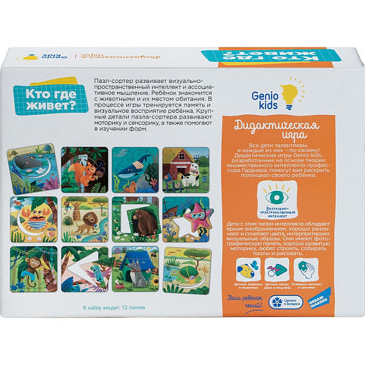 Игра детская настольная Кто где живёт (сортер) арт.RI2206C ООО Страна игрушек Беларусь