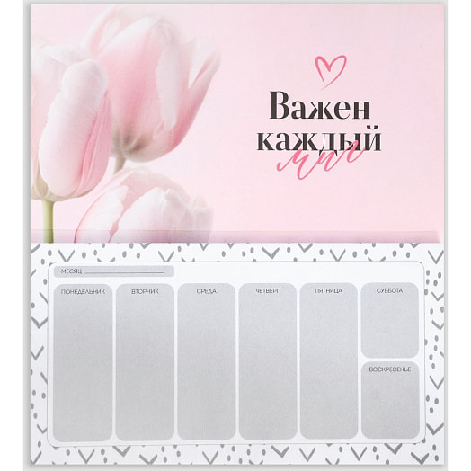 Подарочный набор Самой нежной (ежедн А5 80л, планинг 50л) арт.9878475 Россия