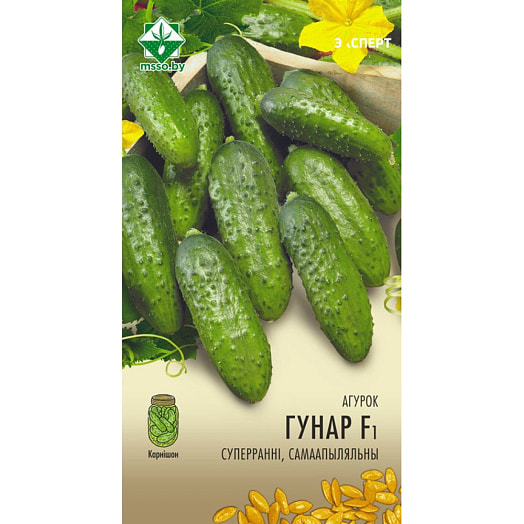 Огурец Гуннар F1 10шт (Эксперт) Enza Zaden Export B.V. Нидерланды