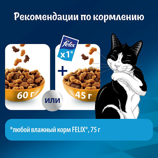 Сухой корм Мясное объедение 600г курица ООО Нестле Россия Россия