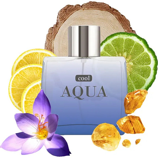 Туалетная вода для мужчин Cool Aqua 100мл ЗАО Дилис Косметик Беларусь ДИЛИС