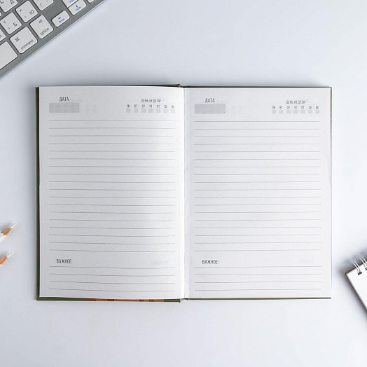 Набор Я могу. Делаю (ежедневник 80л, ручка) арт.5197069 Россия