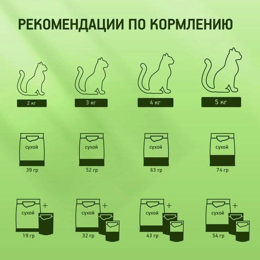 Корм сухой Китекат Мясной Пир 1.3кг для взрослых кошек Марс Россия