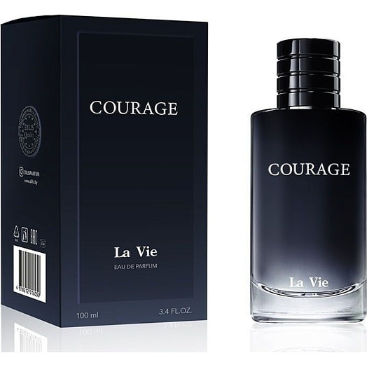 Парфюмированная вода для мужчин 100мл карт/уп. Courage мужская Дилис Беларусь Дилис