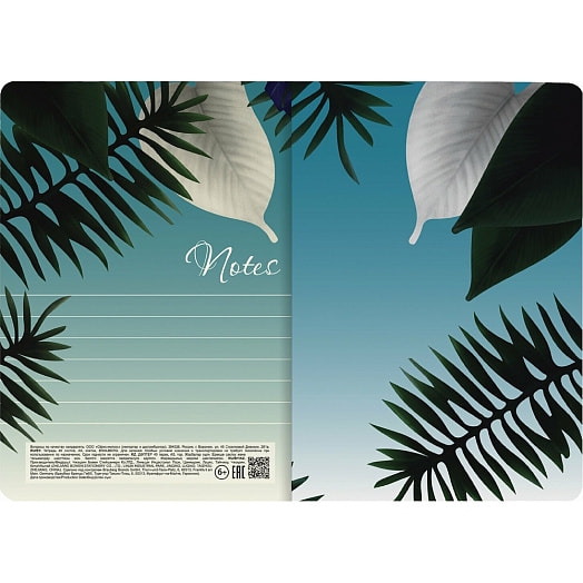 Тетрадь BRAUBERG A5 (147х210мм, 40л, клетка) арт.403775 Китай