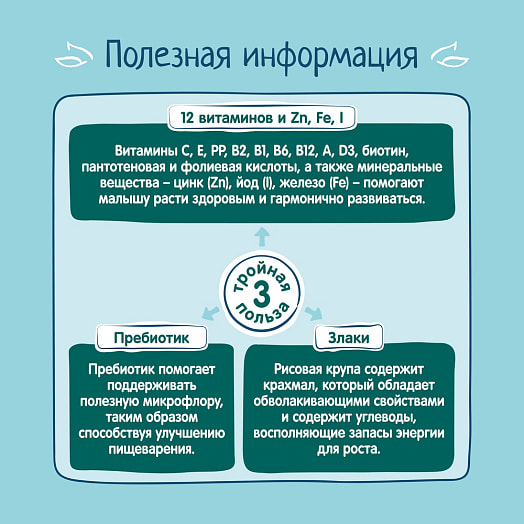 Каша ФрутоНяня молочная рисовая с тыквой, абрикосом 240г ФрутоНяня Россия