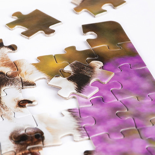 Пазлы 80 Зверята арт.RI8002C ООО Желтый крокодил Беларусь DREAM MAKERS-BOARD GAMES