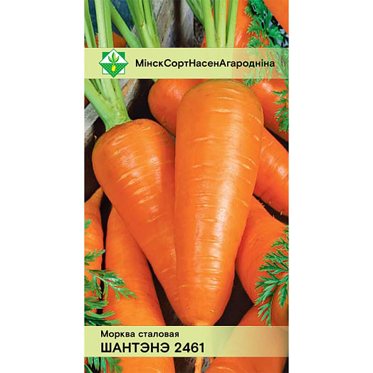 Морковь Шантенэ 2461 столовая 1.5г W.Legutko Przedsi?biorstwo Hodowlano-Nasienne Sp.z o.o. Польша