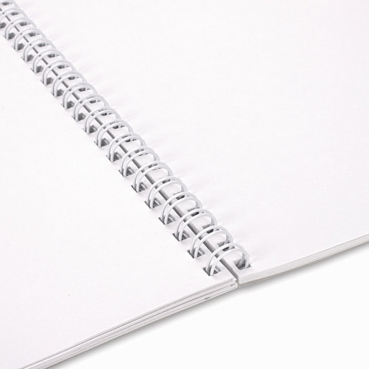 Альбом для рисования Brauberg 40 листов на кольцах арт.102832 Россия