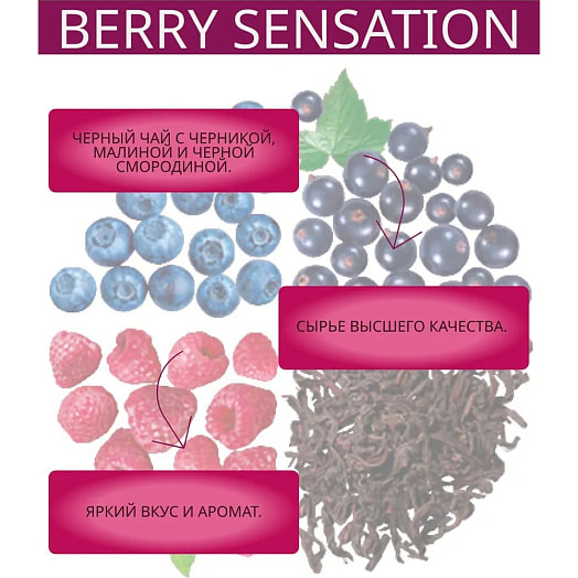 Чай черный Dalai Berry Sensation (20*1,7гр) 34г Санти ООО Россия Dalai