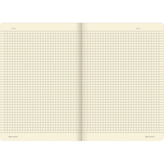 Тетрадь BRAUBERG A5 (147х210мм, 40л, клетка) арт.403775 Китай