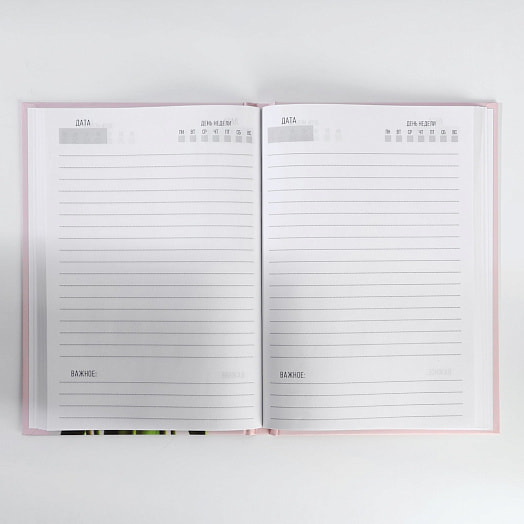 Подарочный набор Пусть эта весна тебя вдохновляет (ежедн А5 80л, кружка) арт.9878481 Китай