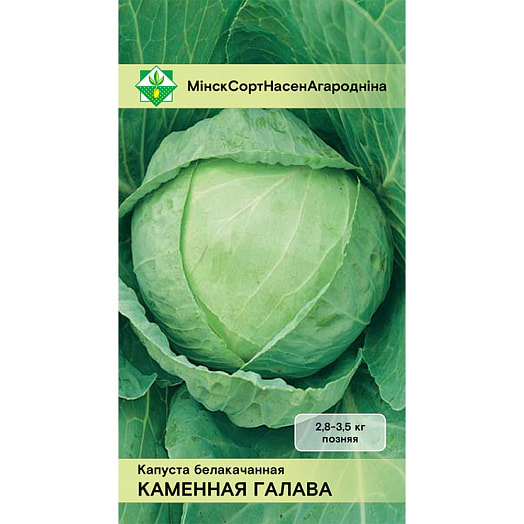 Капуста белокач Каменная голова 0,5 г поздн Беларусь