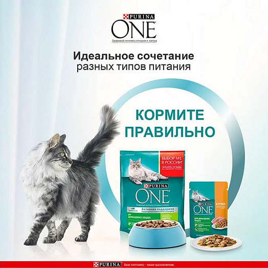 Корм Purina 1.5кг для домашних взрослых кошек с индейкой и злаками ООО Нестле Россия Россия Purina