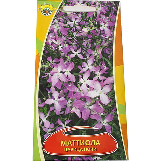 Семена Матиолла Царица ночи 0,2гр. SGARAVATTI Италия