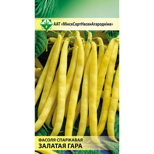 Семена Фасоль Золотая гора спаржевая 2г satimex Quedlinburg GmbH Германия МинскСортСемОвощ