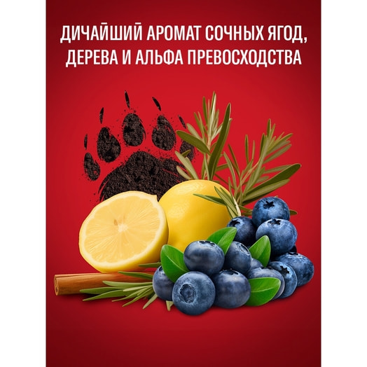 Гель для душа Old Spice+шампунь 2в1 400мл Bearglove Франция