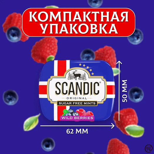 Конфеты SCANDIC без сахара Лесные ягоды 14г ж/б ТД Энергон Рус Россия ТМ Scandic