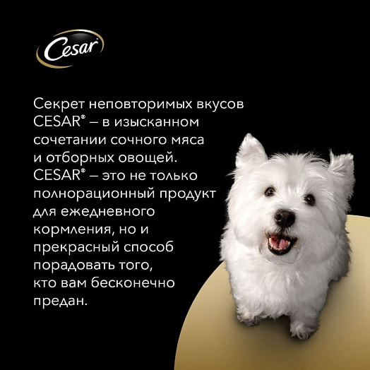Корм Cesar с курицей и овощами для взрослых собак всех пород 85г ООО Марс Россия Cesar