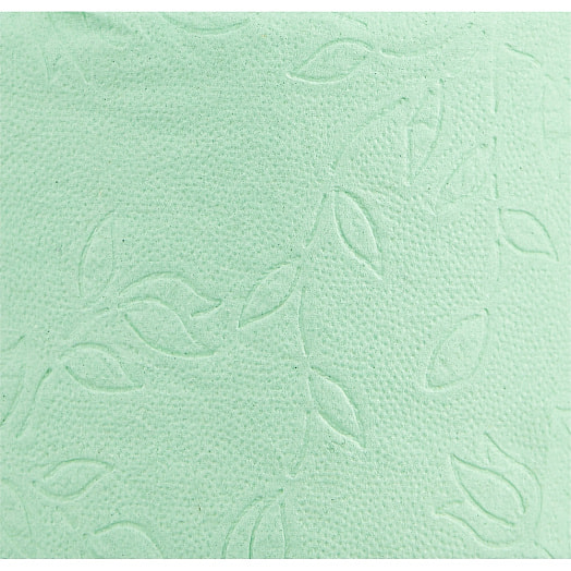 Туалетная бумага Zewa Плюс яблоко 2 cлойная 1х8 рул. Россия